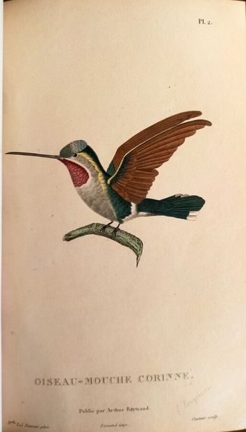 LESSON (René-Primevère). Histoire naturelle...
