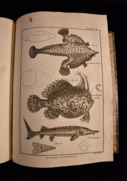 BONNATERRE (Abbé). Tableau encyclopédique...