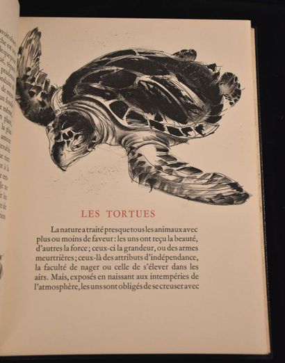 BUFFON. Histoires naturelles. Textes choisis....