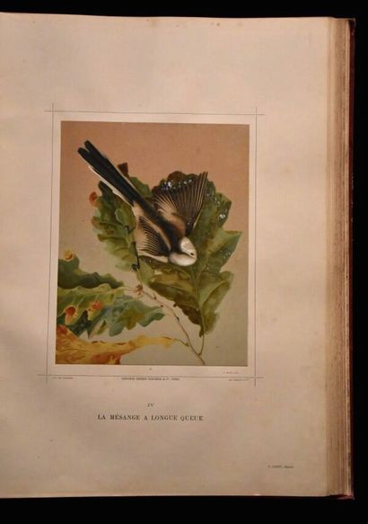 MULSANT (E.) et Édouard VERREAUX. Histoire...