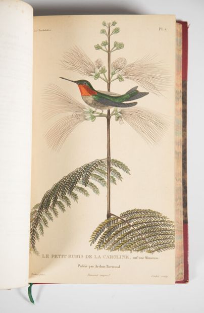 PETERS (J.-L.). Check-list of birds of the...
