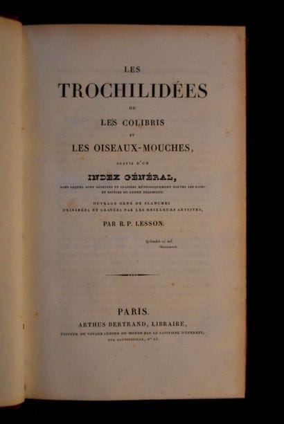 LESSON (René-Primevère). Histoire naturelle...