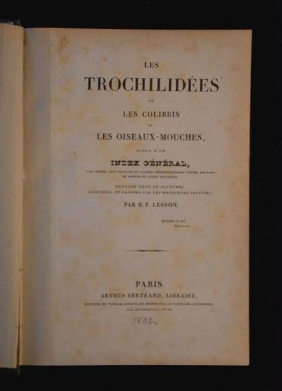 LESSON. Les Trochilidées ou Les colibris...