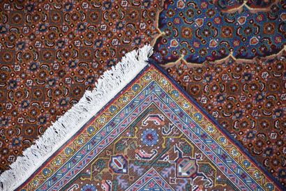 Tapis Bidjar (chaîne et trame en coton, velours...