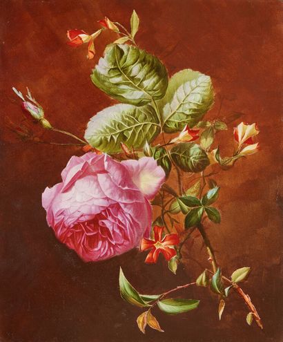 École française du XIXe siècle

Rose et clématites

Peinture...