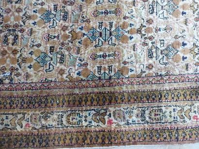 Tapis Ghoum (chaîne, trame et velours en...