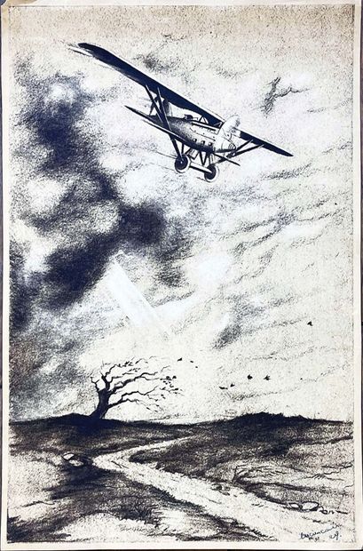 Avion volant dans le vent au dessus d'un...