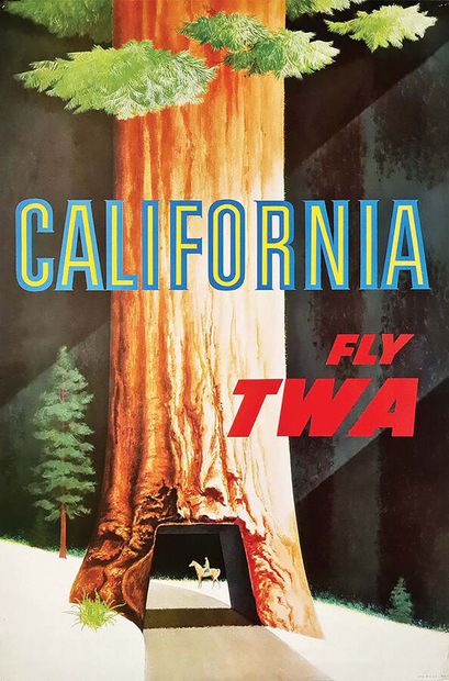 Yosemite Park California Fly TWAPrinted in...