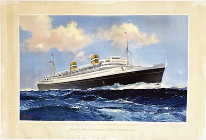 Nieuw Amsterdam Holland Amerika LinieJoh...