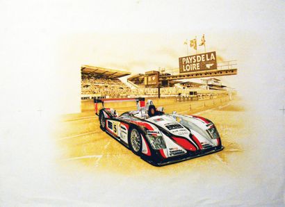 24 Hours of Le Mans Audi Race, Pays de la...