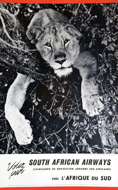 South African Airways to South Africa ( Lion...