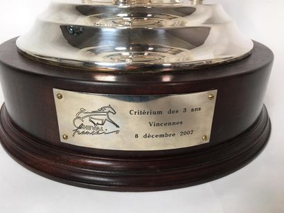 SPORTS ÉQUESTRES 

Coupe trophée en métal...