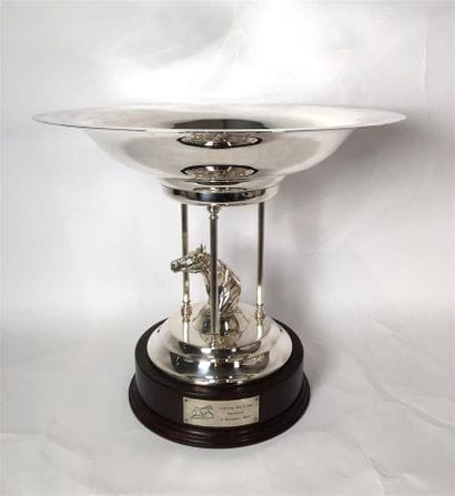SPORTS ÉQUESTRES 

Coupe trophée en métal...