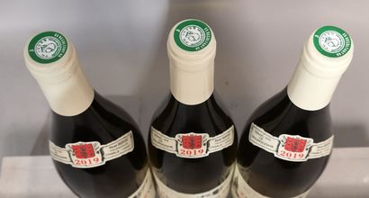 3 bouteille CHABLIS 1er cru 