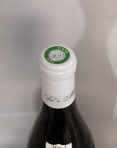 1 magnum RULLY 1er cru 