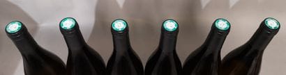 6 bottle BOURGOGNE BLANC 