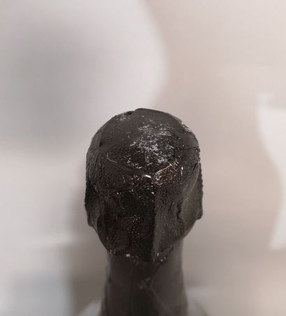 1 bottle CHAMPAGNE DOM PERIGNON 1996 
Label...