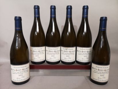 6 bouteille NUITS SAINT GEORGES 1er cru 