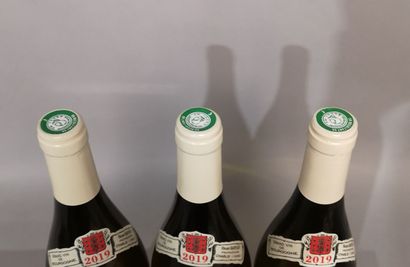 3 bouteille CHABLIS - Vincent DAUVISSAT ...