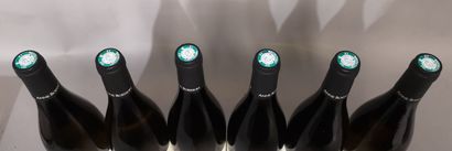 6 bouteille BOURGOGNE ALIGOTE - Anne BOISSON...