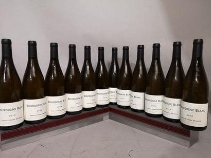 12 bottle BOURGOGNE BLANC - Domaine Pierre...