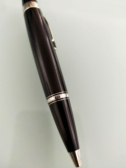 MONTBLANC
BIC pen
