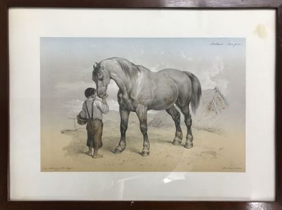 Two lithographs after V. Adam:
- Plough horse...