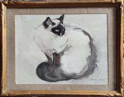 Set of 7 drawings on the theme of cats