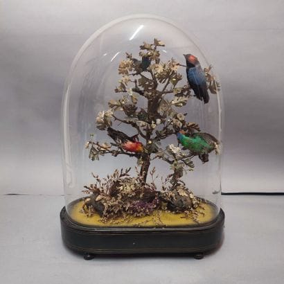Flowering tree and birds under glass