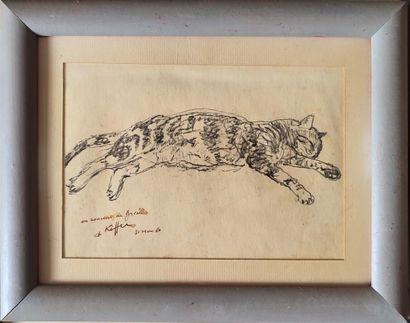 Set of 7 drawings on the theme of cats