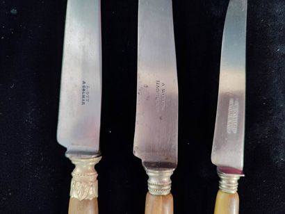 Twelve table and cheese knives
Horn handle
In...