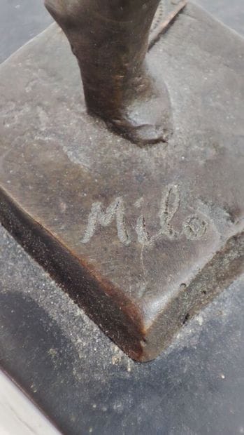 Bronze subject 