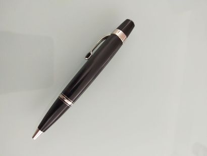 MONTBLANC
BIC pen