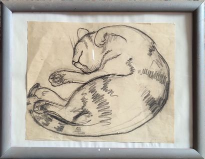 Set of 7 drawings on the theme of cats