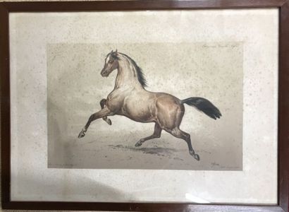 Two lithographs after V. Adam:
- Plough horse...