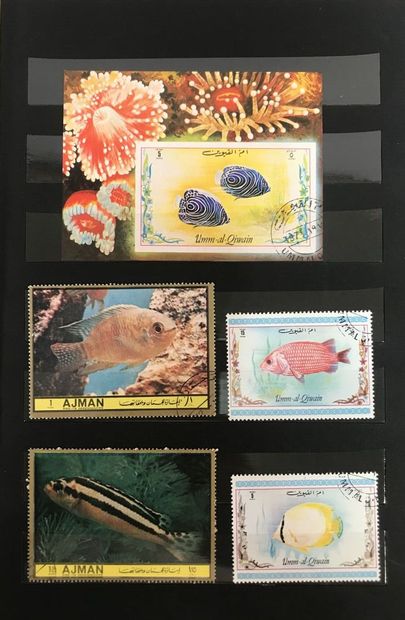 **/*/o 6 albums France classic, semi-modern...
