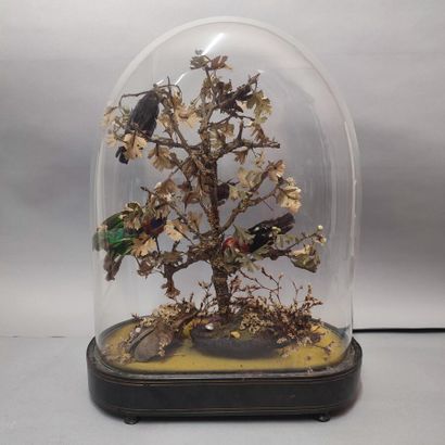 Flowering tree and birds under glass
