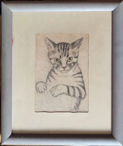 Set of 7 drawings on the theme of cats