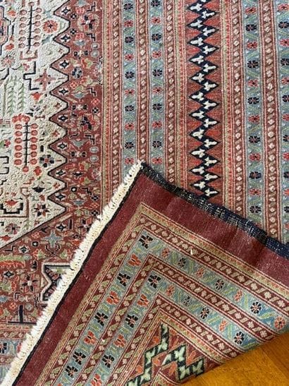Tapis Pakistan
Haut.: 400 ; Larg. : 300 ...