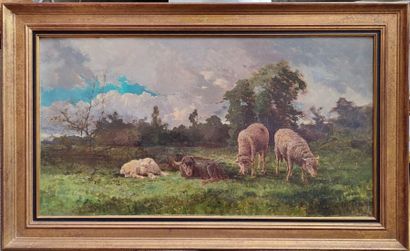 SCHOOL OF BARBIZON
Sheep in a meadow
Oil...
