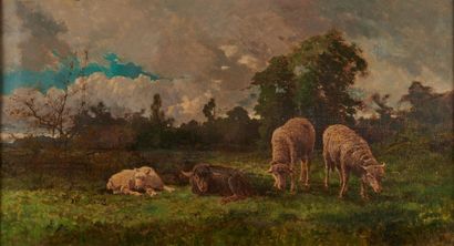 SCHOOL OF BARBIZON
Sheep in a meadow
Oil...
