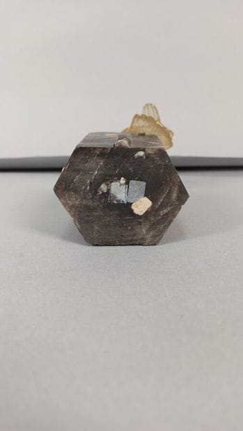 Bird in rock crystal,
Height. Height : 15...