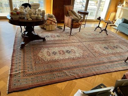 Tapis Pakistan
Haut.: 400 ; Larg. : 300 ...