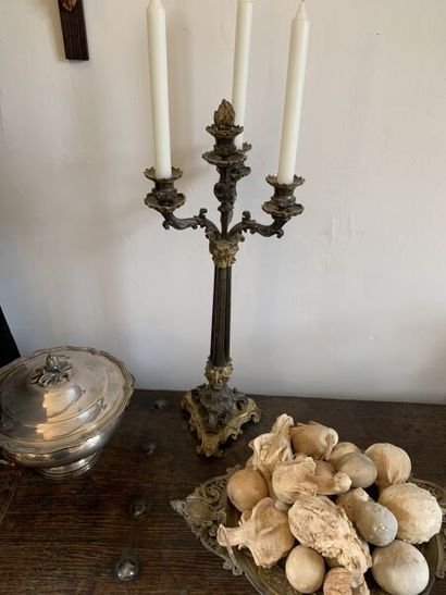 Candelabra in bronze with double patina on...