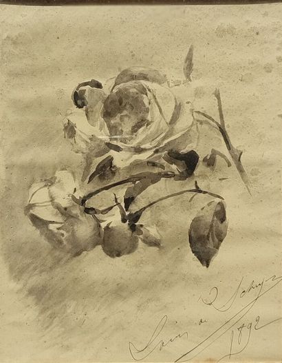 Louis de SCHUTZ
« Etude de fleurs » 
Encre...