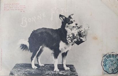 Lot withdrawn