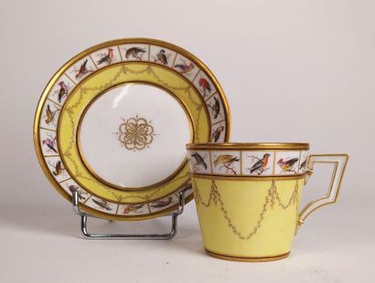 Collection of porcelain cups and saucers...