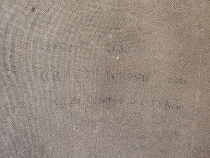 CRACIUN Daniel (né en 1970)
Réflexions sur...
