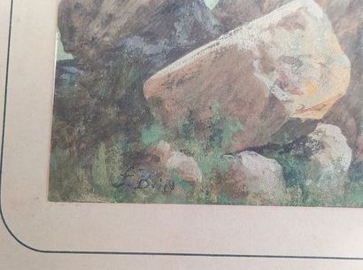 BLIN Francis (1827-1866)
Animated mountain...