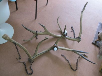 Two deer antler ceiling lights